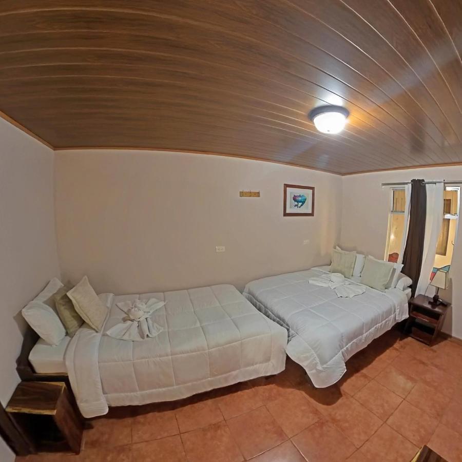 Casa Jungle Monteverde B&B Zewnętrze zdjęcie
