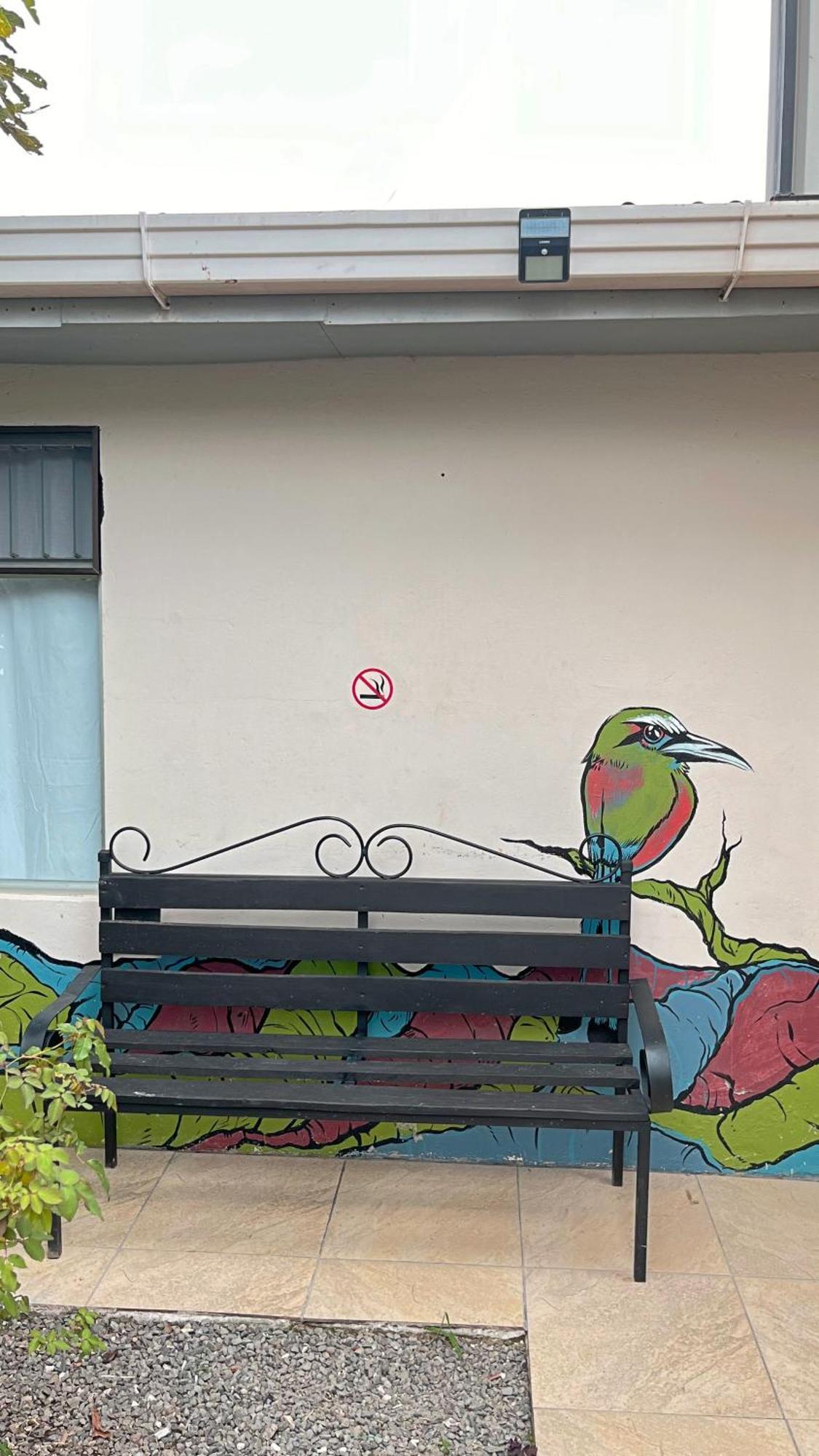 Casa Jungle Monteverde B&B Zewnętrze zdjęcie