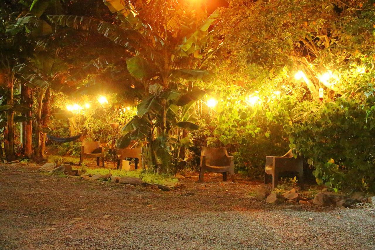 Casa Jungle Monteverde B&B Zewnętrze zdjęcie