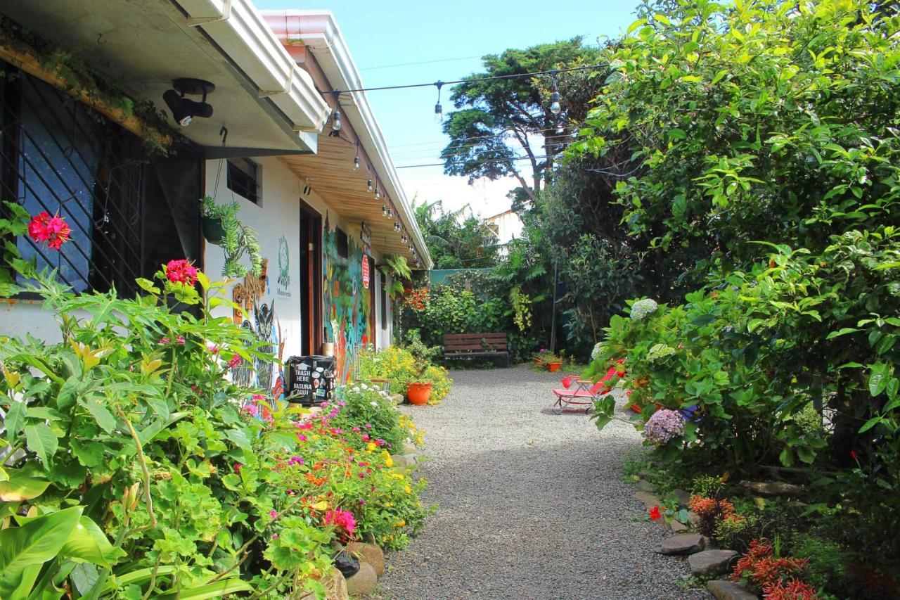 Casa Jungle Monteverde B&B Zewnętrze zdjęcie
