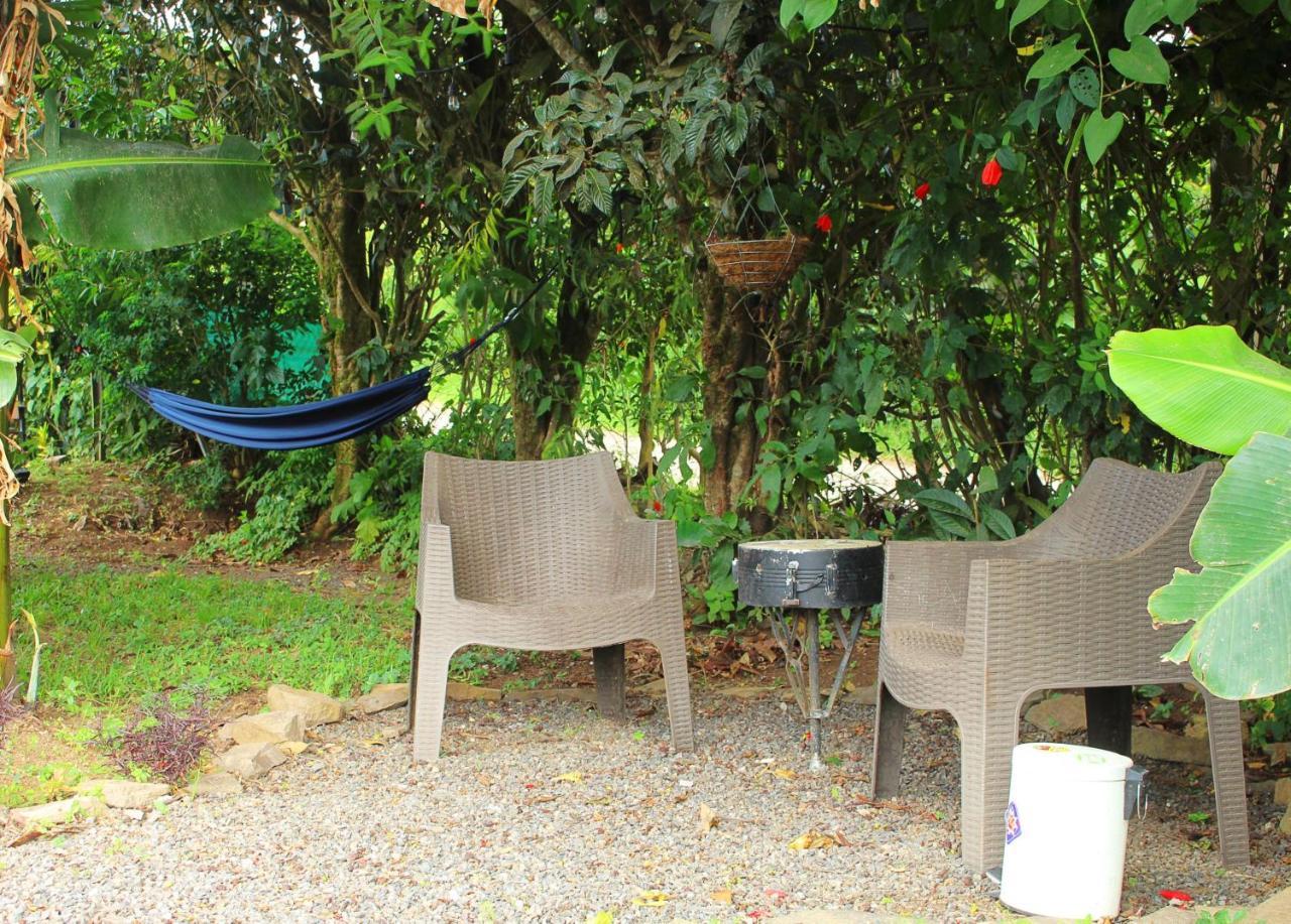 Casa Jungle Monteverde B&B Zewnętrze zdjęcie