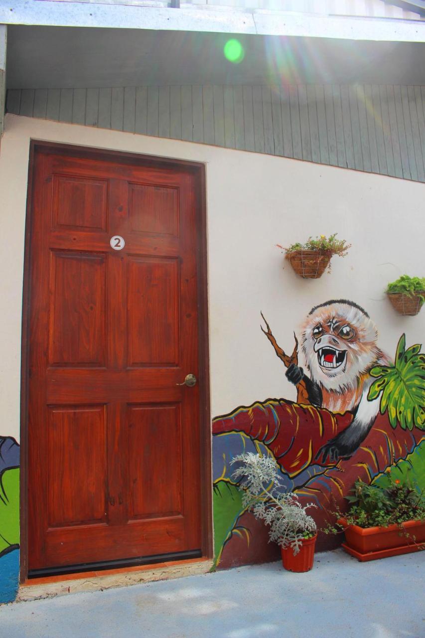 Casa Jungle Monteverde B&B Zewnętrze zdjęcie